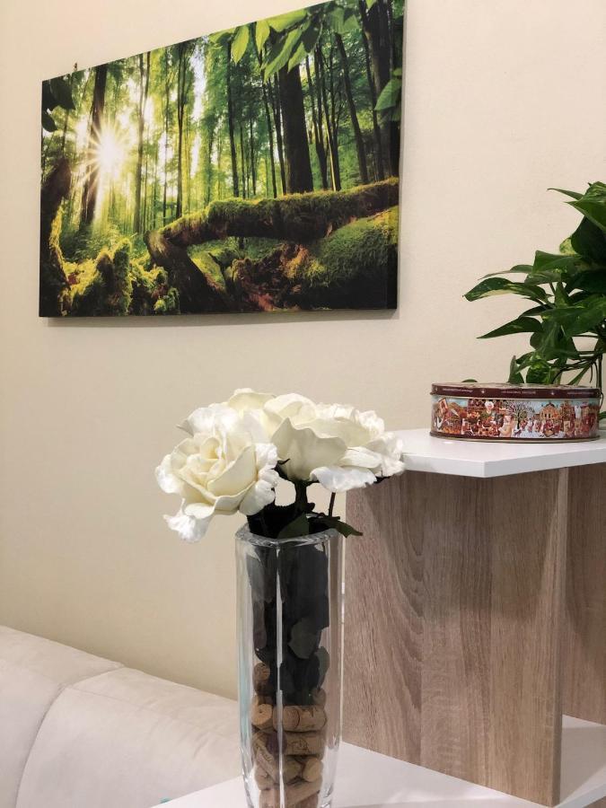 Sofihome بولونيا المظهر الخارجي الصورة